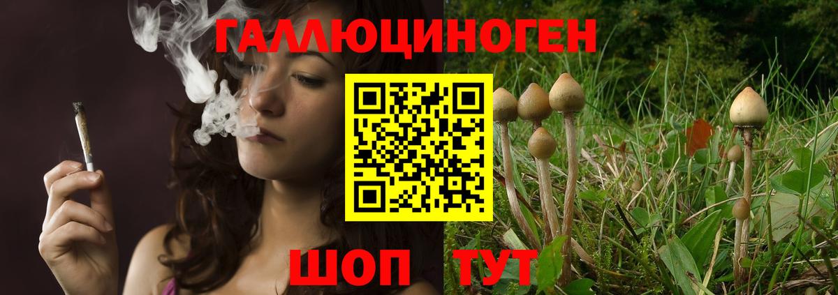 Псилоцибиновые грибы Cubensis  Вход с VPN  Дзержинск 